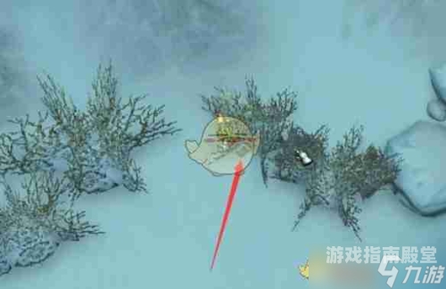 无需实名认证的游戏无需实名认证的游戏大揭秘，自由畅玩，安全无忧！