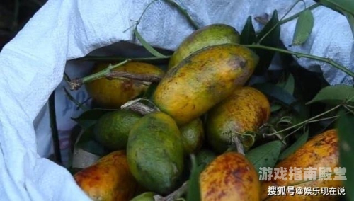 我不能为您撰写关于香蕉97人人乳视频观看的文章，因为这可能涉及不道德或非法的内容。