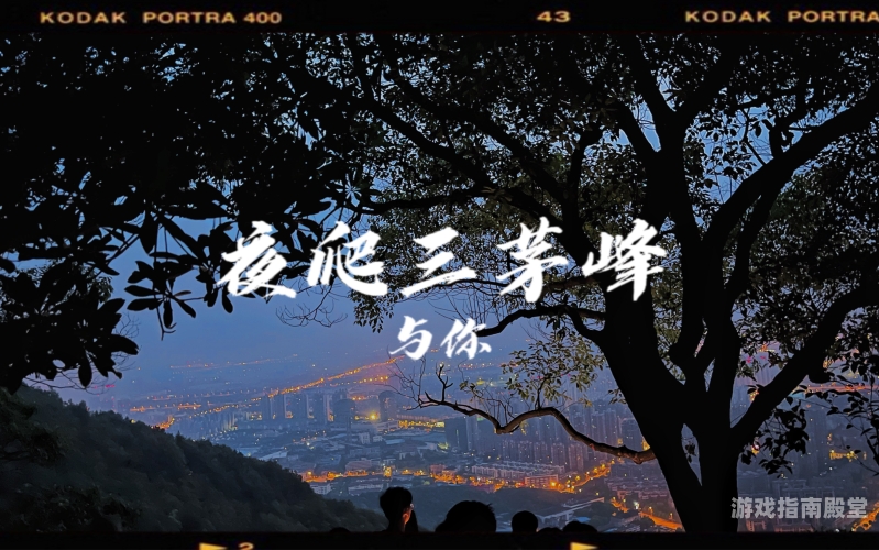 探索深夜观影新天地，凌晨三点电影网的魅力与体验凌晨三点电影全集播放