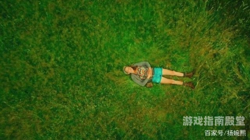 探索野花影视大全，在线观看的无限可能与注意事项野花影视大全在线观看免费高清1演员表介绍