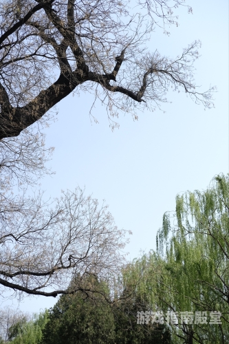盛世传奇盛世传奇，一段跨越千年的华夏风华