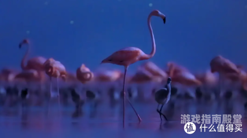 99视频精品免费观看指南，畅享视觉盛宴