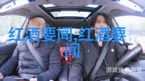 探秘亚洲中文字幕，一区、二区、三区的独特魅力与功能