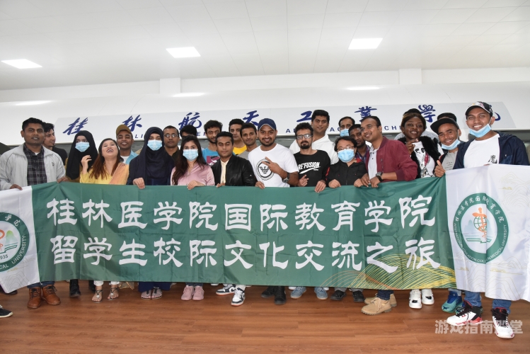 日韩、亚洲与欧美，多元文化的魅力之旅