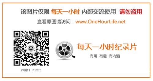 探索在线视频世界，日韩专区与720P高清体验