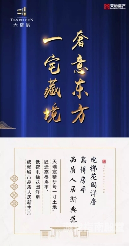 久久精品，岁月沉淀下的卓越之选与品质典范
