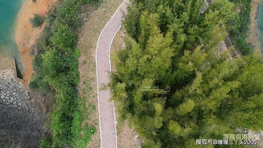 另类一区二区三区探秘小众天地，另类一区二区三区的奇幻之旅与独特魅力