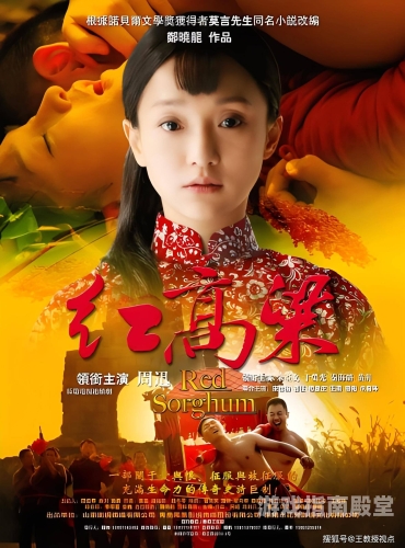 探寻影视文化多元之美，国产与国际佳作的魅力碰撞