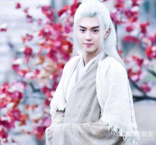 绝代双骄，江湖中的传奇英雄