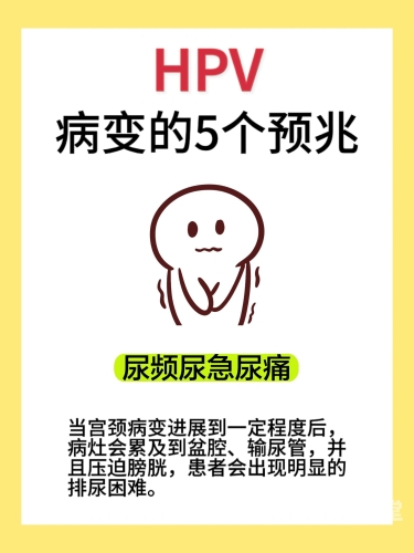 探索女性健康，了解白带异常及其背后的原因久久i7