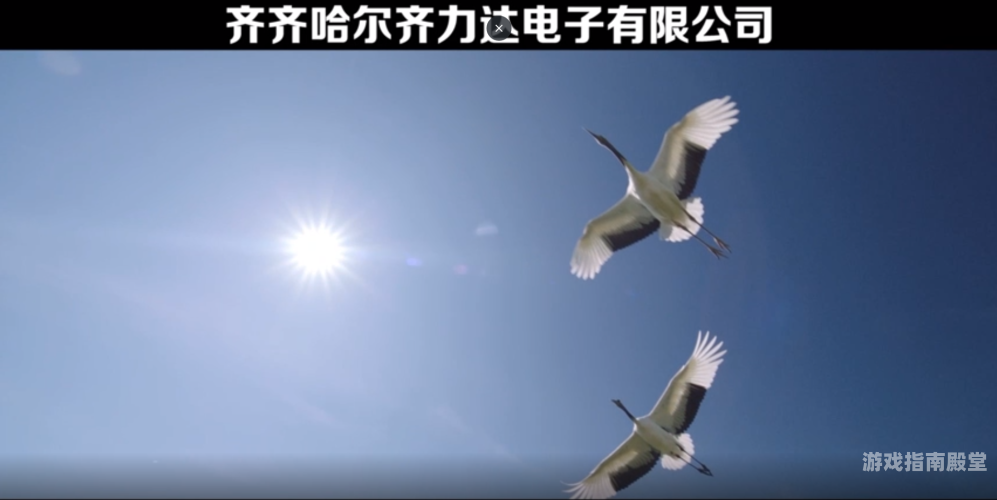 国产精品久久久久无码网站，探索高质量内容的背后久久精制