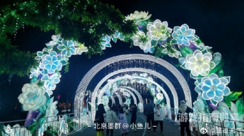 九九热精，一场跨越时空的文化盛宴免费网站在线观看人数在哪省