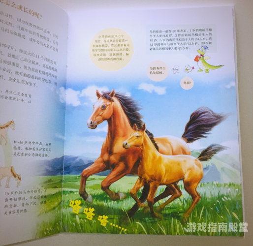 笔趣书阁，探索文字的奇妙世界