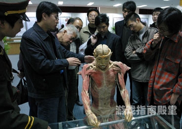 狠抓综合新闻，小蛇带你探索综合资讯的奥秘