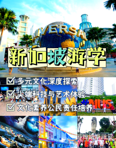 亚洲经典A级资源免费看，探索多元文化魅力
