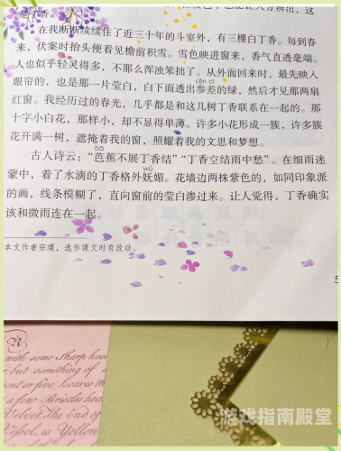 婷婷丁香爱丁香，探寻丁香的独特魅力