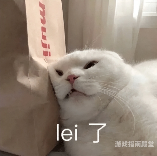 亚洲精品选，揭秘AV动态图中的精彩瞬间播放亚洲动物图片