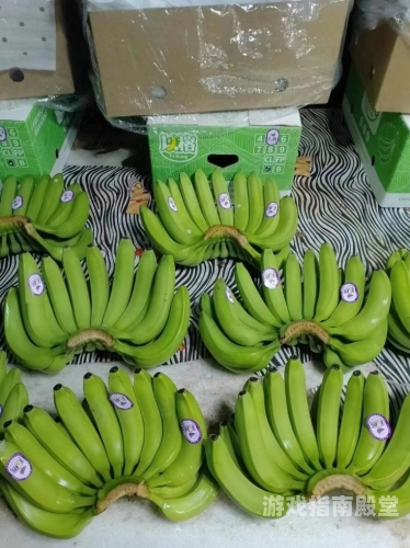 精品香蕉一区二区三区，区域特色与新闻资讯