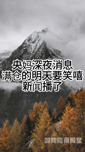 午夜热门精品一区二区，探秘深夜新闻资讯
