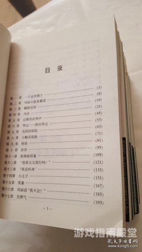 成人精品视频在线观看，探索网络世界的秘密花园