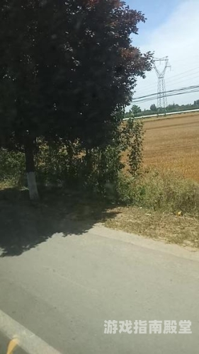 老肥熟91，新闻资讯网站深度解析
老肥熟91，新闻资讯网站新篇章