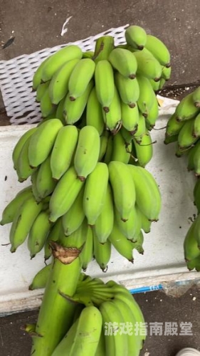 青青国产香蕉在线，新鲜出炉的优质农产品
