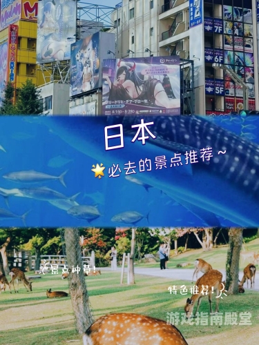 日本热门视频平台发布，探索久道的世界