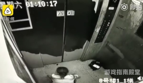 天天视频黄网站在线观看，揭秘网络视频新天地