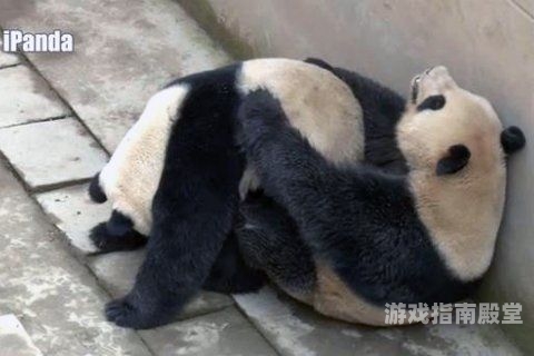 国产热门视频推荐，探索人碰人啪人爱的多元世界国产人碰人啪人爱视频网站