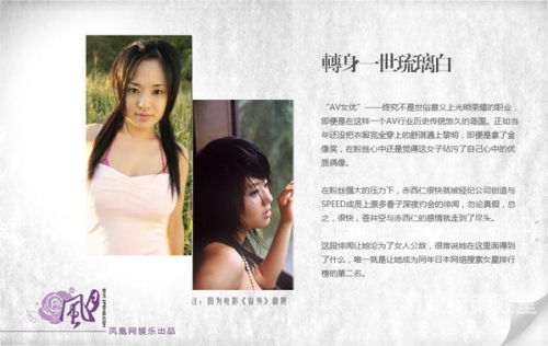少妇无码精品免费视频，揭秘网络热潮背后的诱惑