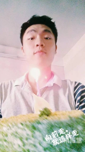 精品视频无码，引领数字时代的新潮流杨爸微博遛鸟视频慢回放