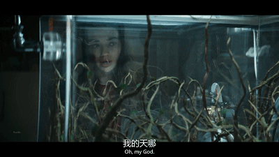国产成人短视频平台热议，探索未知的边界无码国产外流程