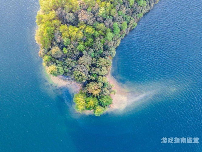 中国无码现象，亟待关注与解决