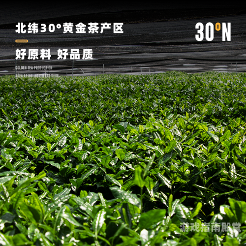 国产一级毛片，品质与影响力的双重展现