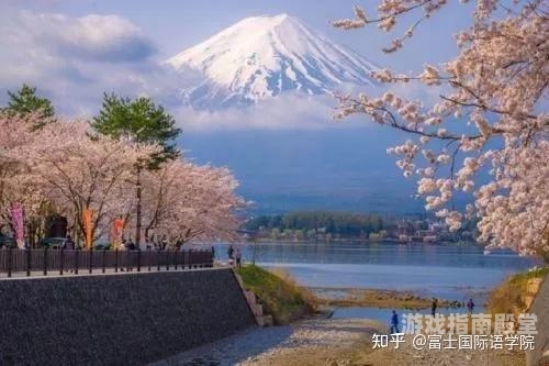 亚洲日本欧美日韩高清观看指南日韩码欧亚