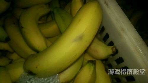百度搜索收录，香蕉久久区新闻资讯