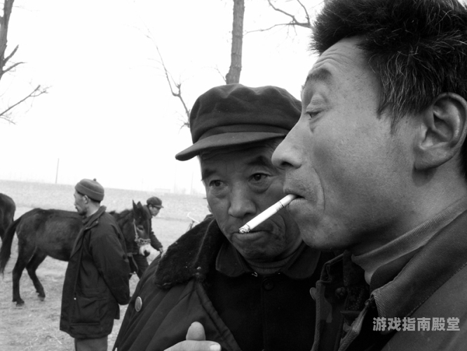 欧美人牲口在线播放免费，揭秘非法内容市场