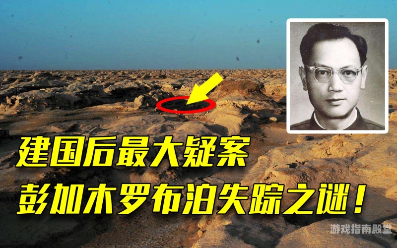 天天拍免费一级大毛片，揭秘网络热议的神秘内容