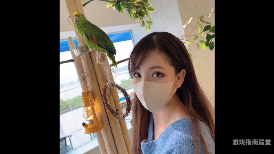 在线视频一区二区无码，探索无码视频背后的故事与影响在线视频一区二区无码破解