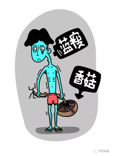 成人无码免费一级，探索网络世界的神秘角落