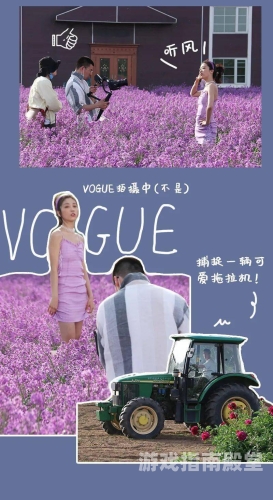 亚洲SE福利视频，揭秘网络红人背后的秘密