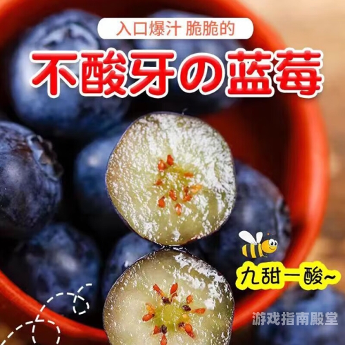 国产一级毛片精品版，探寻神秘面纱