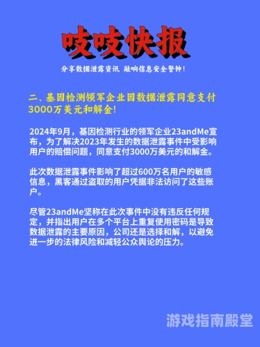 一级中文字幕免费乱码专区，乱码问题解决方案与新闻资讯