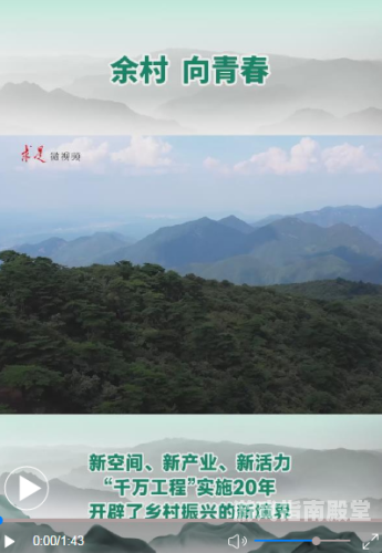 国产免费精品新闻，探索免费内容的新境界