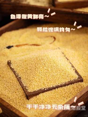 国产99热，品质之选，精品汇聚