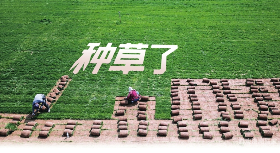 久青草国产香蕉在线视频，新鲜出炉的新闻资讯青草视频久航
