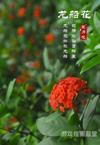 五月花中文网聚力，揭秘AV题材内容
五月花中文网，五月盛放，揭秘AV题材内容