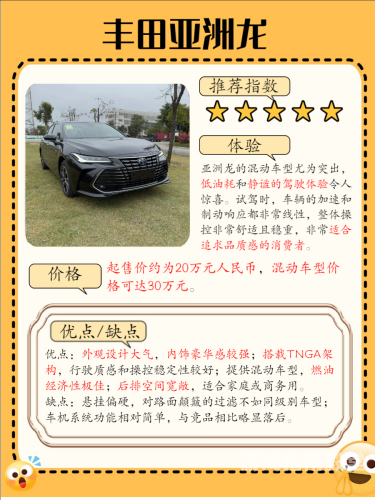 亚洲与欧洲国产品牌深度解析，日产的综合实力与未来展望亚洲欧洲国产日产综合播放器